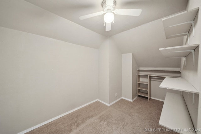 4712 N Narcissus Ave, Broken Arrow, OK 74012 - walk in closet with a ceiling fan, carpet flooring, and lofted ceiling