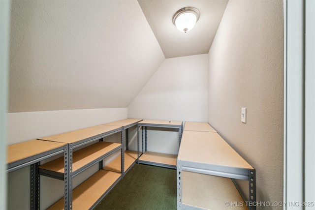 interior space with carpet and vaulted ceiling