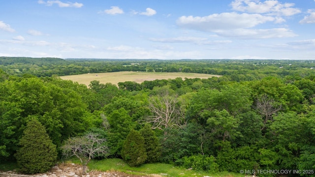 aerial view with a forest view