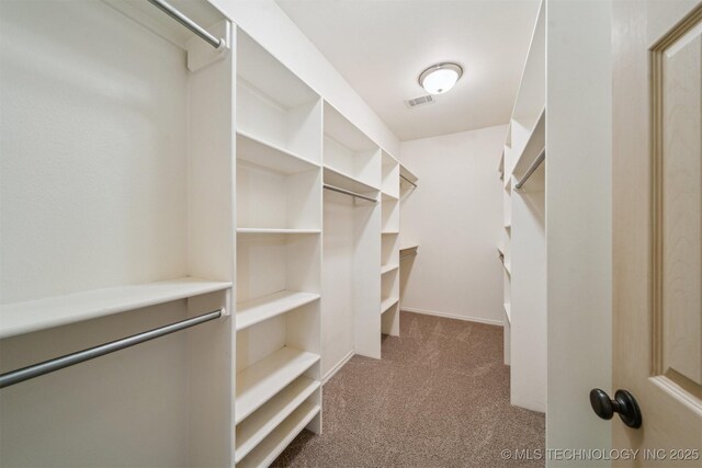 7311 N 202nd E Ave, Owasso, OK 74055 - walk in closet featuring carpet floors