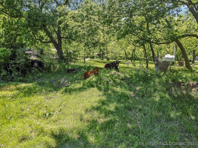 9553 W 71st St S, Tulsa, OK 74131 - view of yard