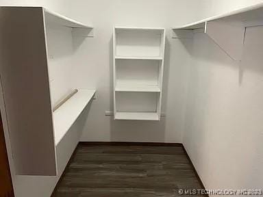 walk in closet featuring wood finished floors