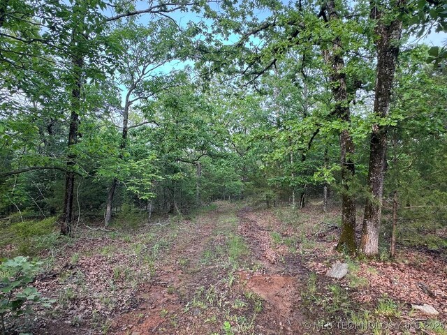 19 NW 124th Rd, Wilburton, OK 74578