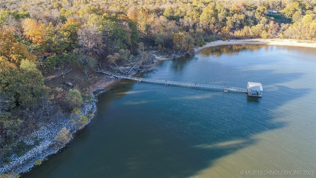 bird's eye view with a water view and a forest view