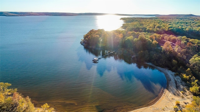 property view of water featuring a wooded view