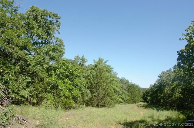 Bayview Dr, Mead, OK 73449 - photo 12