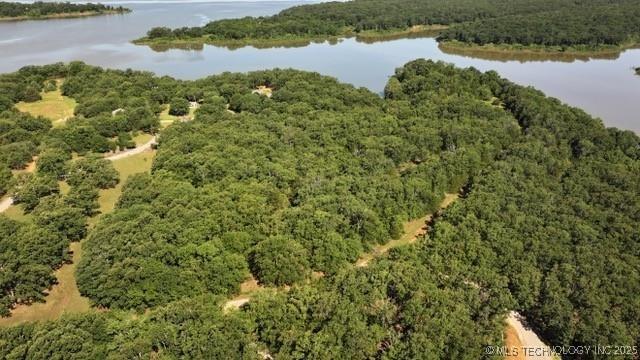 Bayview Dr, Mead, OK 73449 - photo 17