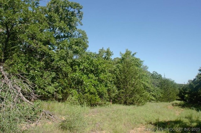 Bayview Dr, Mead, OK 73449 - photo 11