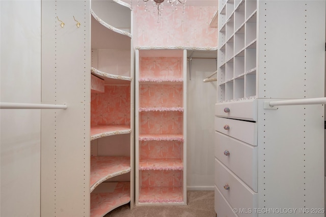 1022 W E St, Jenks, OK 74037 - spacious closet with carpet