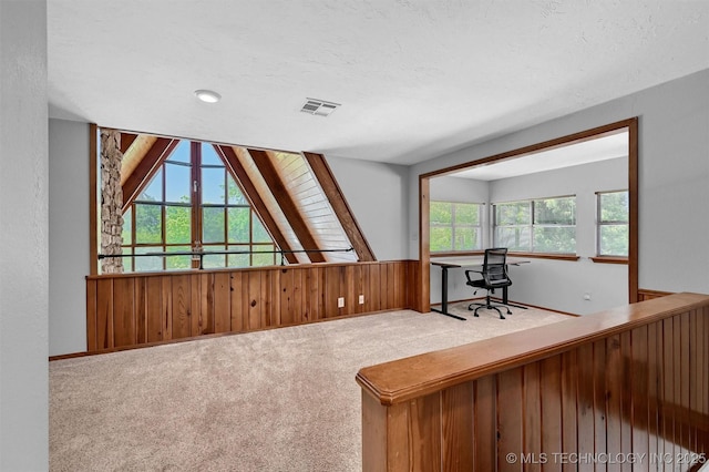 7626 Whispering Way, Kingston, OK 73439 - carpeted office space with wooden walls, a textured ceiling, and visible vents