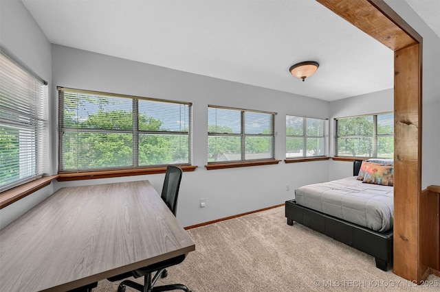 7626 Whispering Way, Kingston, OK 73439 - carpeted bedroom featuring baseboards