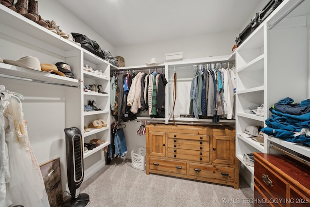 spacious closet with carpet flooring