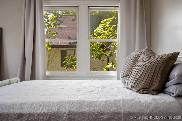 bedroom with multiple windows