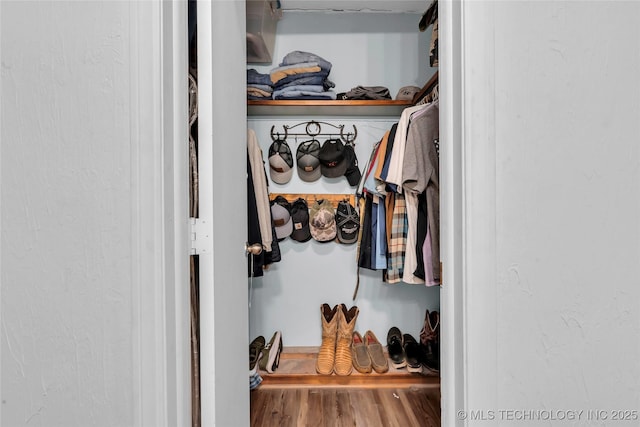 view of closet