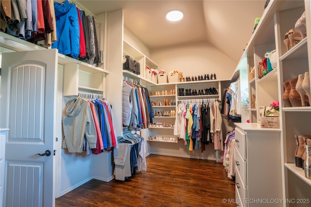 spacious closet featuring dark wood-style flooring