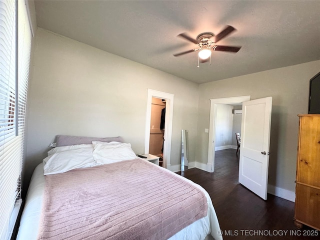 bedroom featuring baseboards, dark wood-style flooring, ceiling fan, and a walk in closet