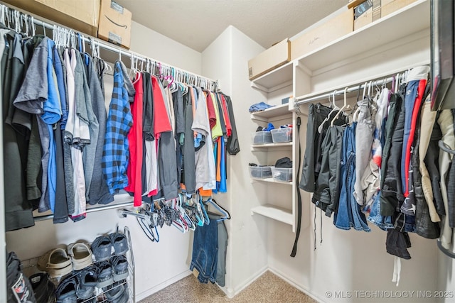 walk in closet featuring carpet