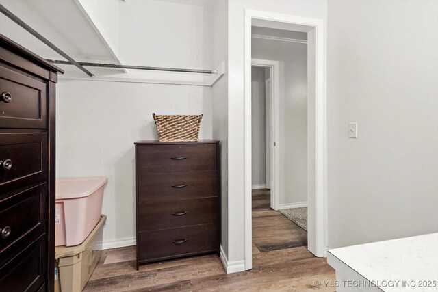 walk in closet featuring wood finished floors