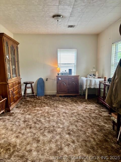 misc room with carpet floors