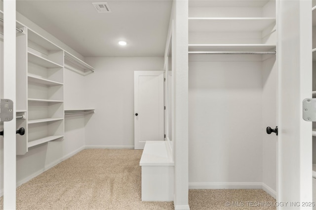 spacious closet featuring carpet floors