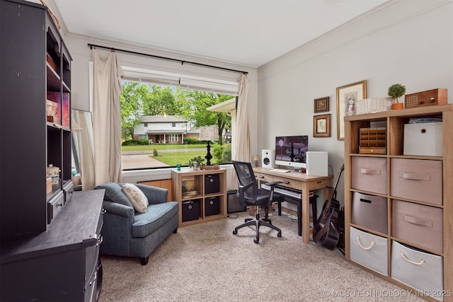 office featuring carpet floors and ornamental molding