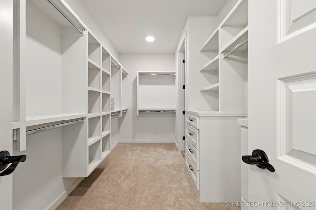 walk in closet with light carpet