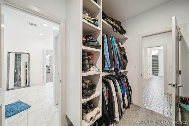 view of spacious closet