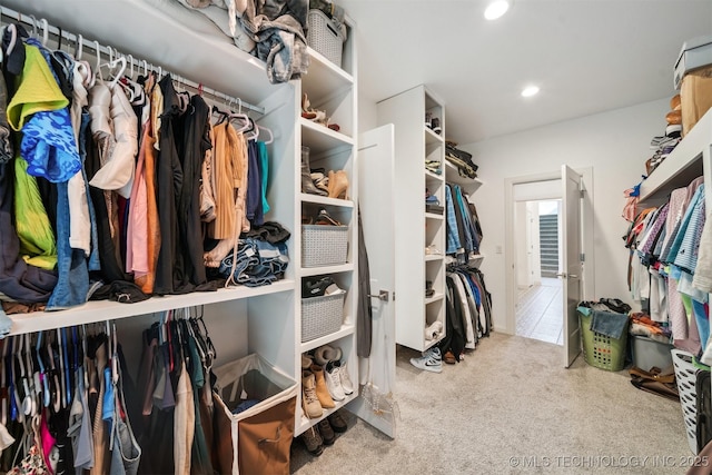 walk in closet with carpet