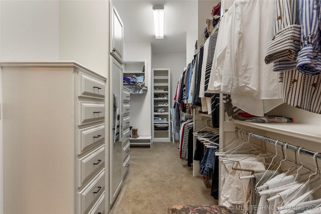 11616 S Hudson Ct, Tulsa, OK 74137 - walk in closet with light carpet