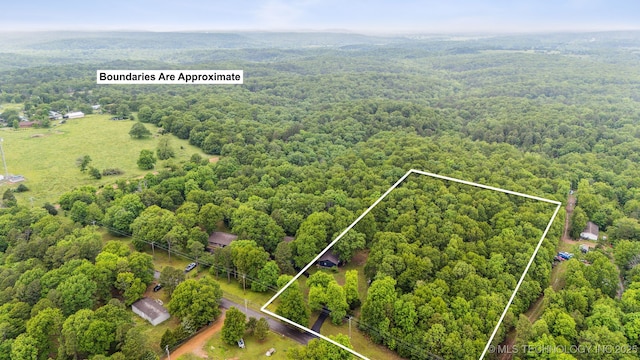 6019 E 620th Rd W, Locust Grove, OK 74352 - aerial overview of property's location with a forest and property parcel outlined