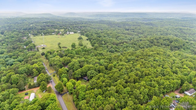 6019 E 620th Rd W, Locust Grove, OK 74352 - aerial view of a forest