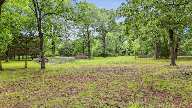 6019 E 620th Rd W, Locust Grove, OK 74352 - view of green lawn