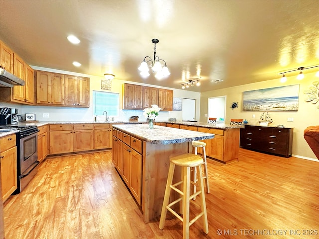 114537 Spring Creek Rd, Eufaula, OK 74432 - kitchen with stainless steel range, a center island, track lighting, a sink, and light wood-style flooring