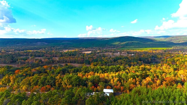 174550 N 4430th Rd N, Nashoba, OK 74558 - mountain view with a heavily wooded area
