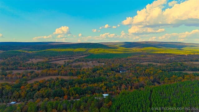 174550 N 4430th Rd N, Nashoba, OK 74558 - drone / aerial view of a heavily wooded area