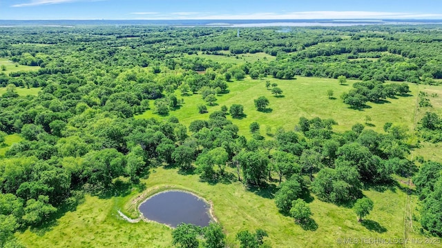 17983 Nuttin Ln, Madill, OK 73446 - drone / aerial view of a nearby body of water and a heavily wooded area