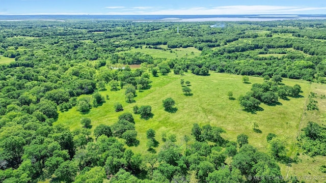 17983 Nuttin Ln, Madill, OK 73446 - drone / aerial view of a forest