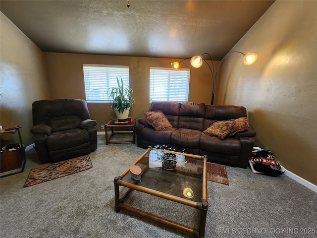 14360 County Road 3505th Loop, Ada, OK 74820 - living area with carpet flooring and baseboards