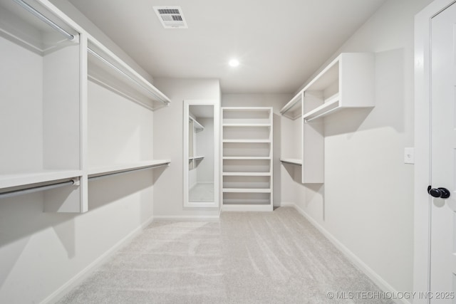 spacious closet with carpet floors