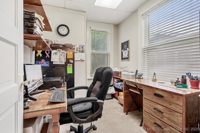 home office featuring carpet floors and a paneled ceiling