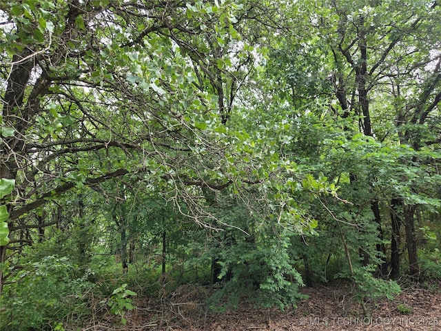 35530 W 261st St, Bristow, OK 74010 - view of tree filled area