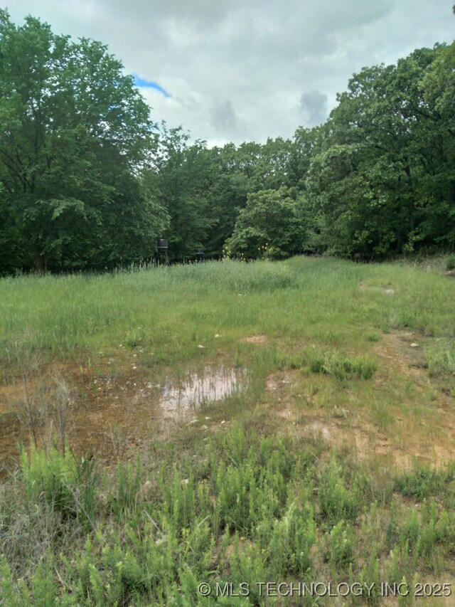 35530 W 261st St, Bristow, OK 74010 - view of woods