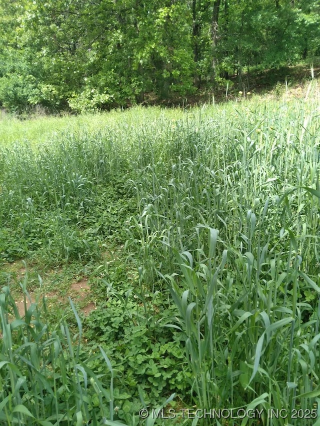 35530 W 261st St, Bristow, OK 74010 - view of nature