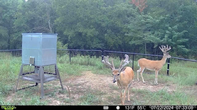 N County Road 3740, Tupelo, OK 74572 - photo 1
