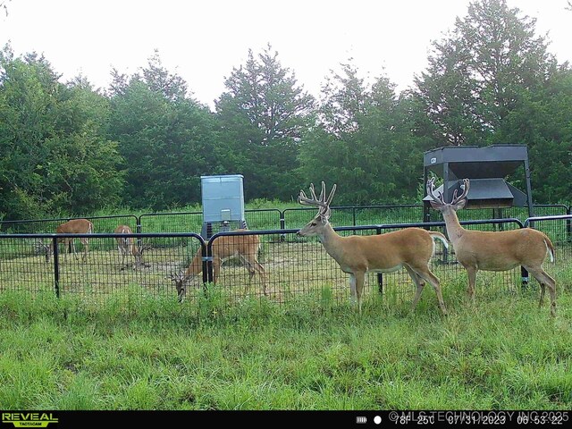 N County Road 3740, Tupelo, OK 74572 - photo 37