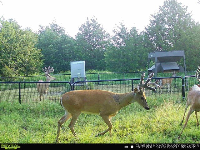 N County Road 3740, Tupelo, OK 74572 - photo 40