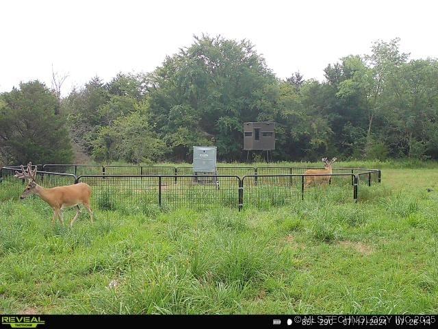 N County Road 3740, Tupelo, OK 74572 - photo 46