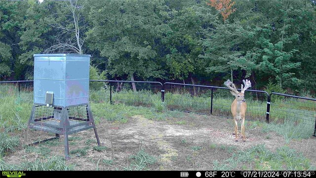 N County Road 3740, Tupelo, OK 74572 - photo 48