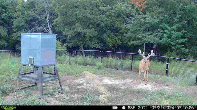 N County Road 3740, Tupelo, OK 74572 - photo 49