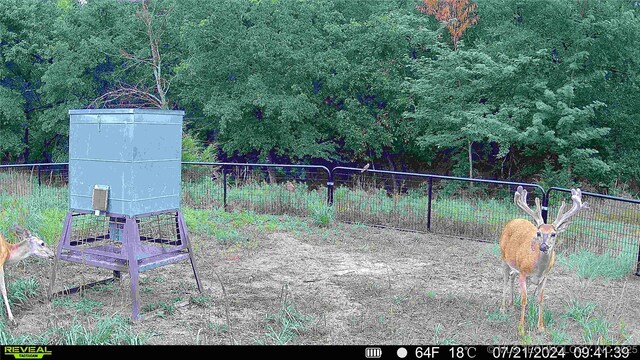N County Road 3740, Tupelo, OK 74572 - photo 50